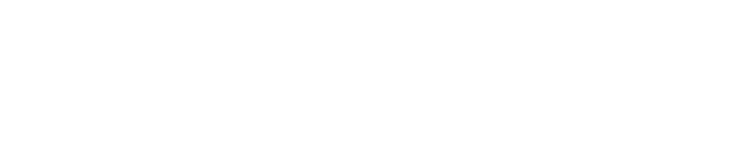 History 沿革