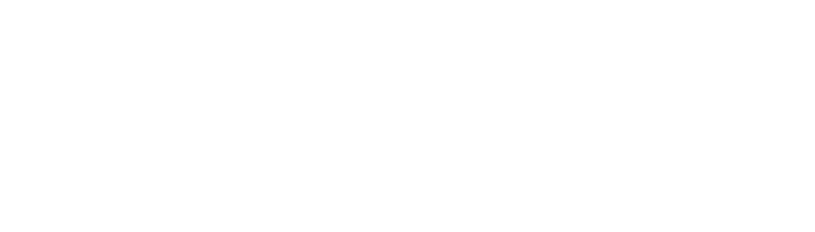 History 沿革